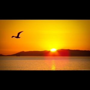 Meet your Posher, 🤓